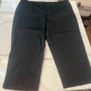 Jones New York Signature Woman Stretch Ankle Pants 22W NWT